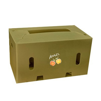 Can a PP Voting Box be used for professional association elections?